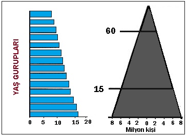 ikizkenar üçgen nüfus piramidi
