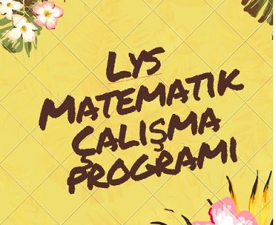 lys matematik çalışma programı