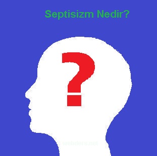 septisizm nedir