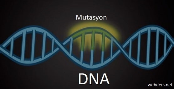 Mutasyon nedir