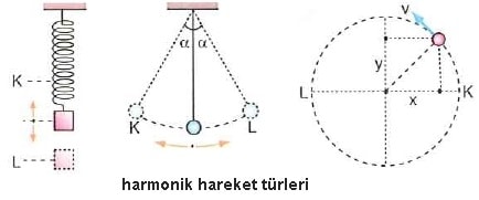 harmonik hareket türleri